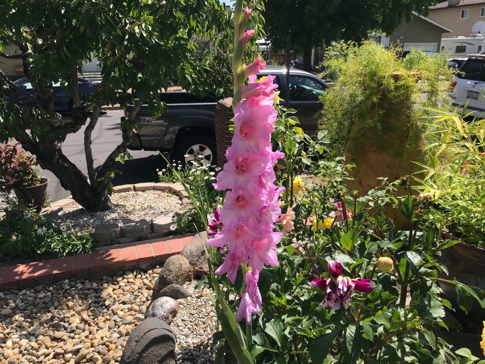 Flowers at Marcell and Brian Gallagher's north Napa home.